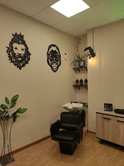 Jungle barber - Opiniones y contacto